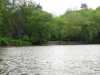 IMG 4705